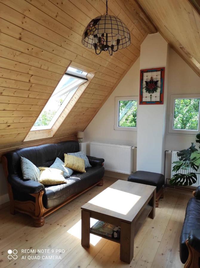 Art-House 4 Attic Apartment Decin Kültér fotó