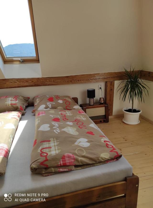Art-House 4 Attic Apartment Decin Kültér fotó
