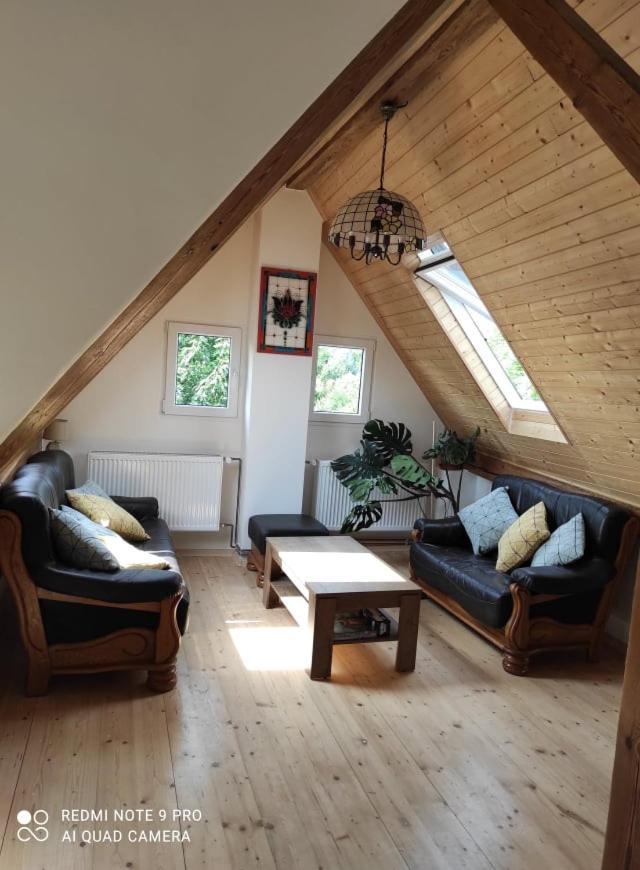 Art-House 4 Attic Apartment Decin Kültér fotó
